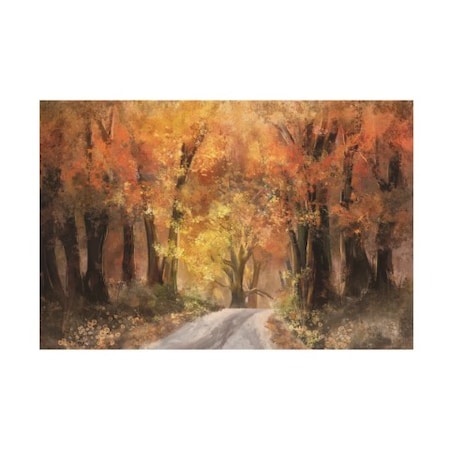 Lois Bryan Photogrphy And Digital Art 'Autumn's Glow' Canvas Art,16x24